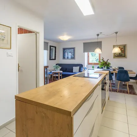 Lovely In With Kitchen Appartement Ladrovici